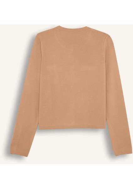 Regular Fit Bisiklet Yaka Basic Düz Düğmeli Triko Hırka C1500AX24WN