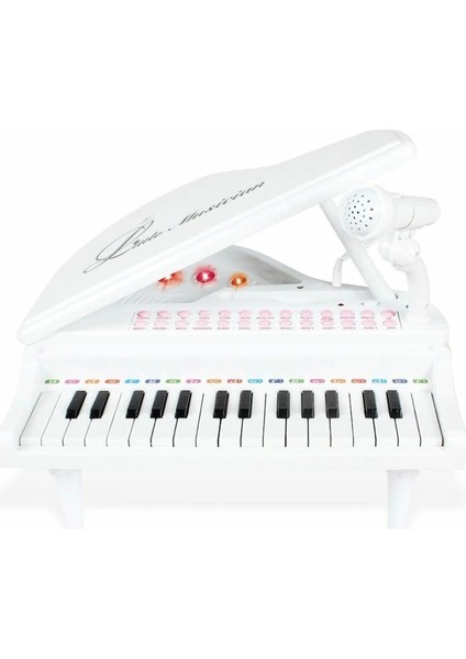 Bfs BAO-1504B 31 Tuşlu Mini Piano Mp3 -Vardem