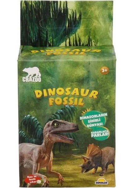 Bfs Karanlıkta Parlayan Dinozor Fosil Kazı Seti modelleri