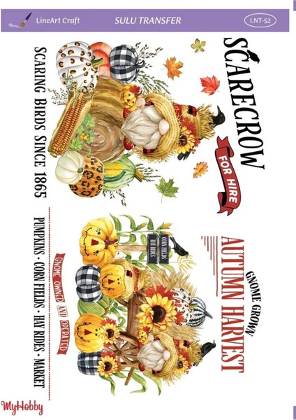 Sulu Transfer 25X35CM Halloween Kabak Temalı LNT52