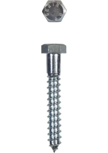 Trifon Vida 8X80 mm (5 Adet)