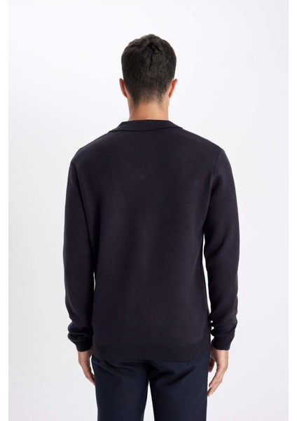 Standart Fit Normal Kesim Polo Yaka Triko Kazak D4046AX24WN