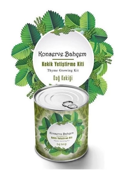 Bfs Konserve Bahçem Evde Konservede Kekik Dağ Kekiği Yetiştirme Kiti