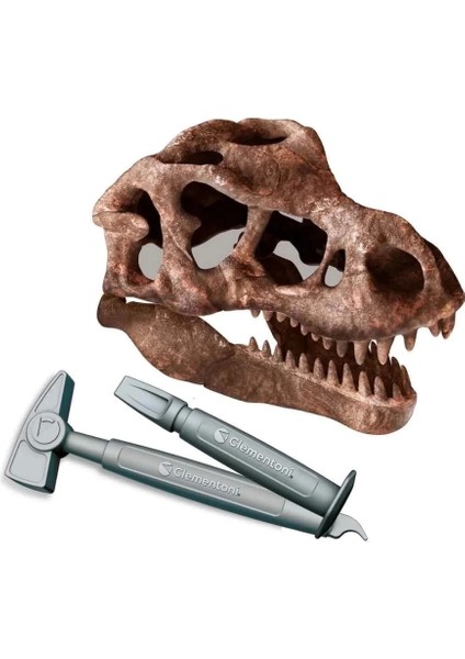 Bfs Bilim ve Oyun T-Rex Kazı Seti