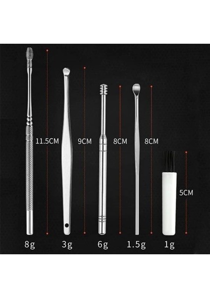 Bfs 6 Parça Paslanmaz Çelik Kulak Balmumu Toplayıcı Çıkarıcı Temizleyici Bakımı Çubuk Seti modelleri