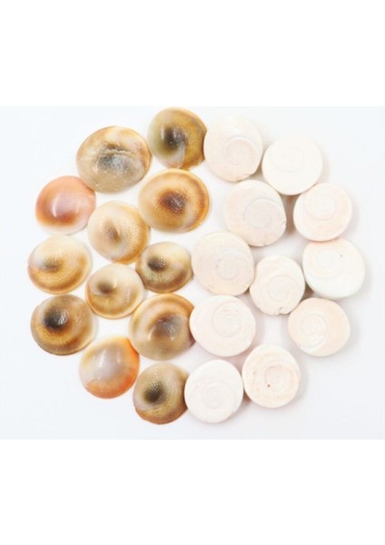 Yılancık Taşı 33 Adet, Doğal Taş, Şifa ve Enerji Kaynağı, Güzel Dekorasyon Ürünü fiyatları