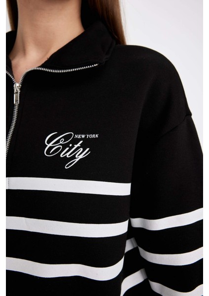 Regular Fit Yarım Fermuarlı Dik Yaka Çizgili Kalın Sweatshirt D5297AX24AU