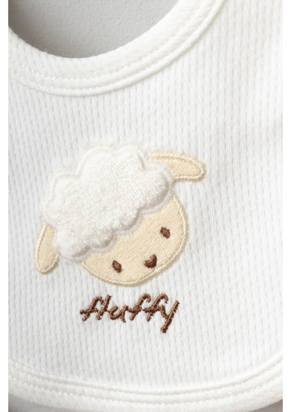 Kuzulu 10 Parça Kutulu (Yenidoğan) Hastane Çıkışı Zıbın Seti modelleri