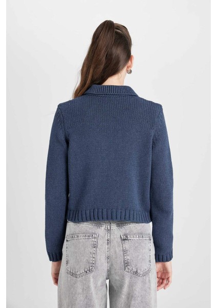 Regular Fit Polo Yaka Basic Düz Düğmeli Triko Hırka D5395AX24AU indirimleri