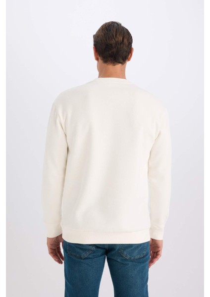 Relax Fit Bisiklet Yaka Nakışlı Kalın Sweatshirt D2162AX24AU