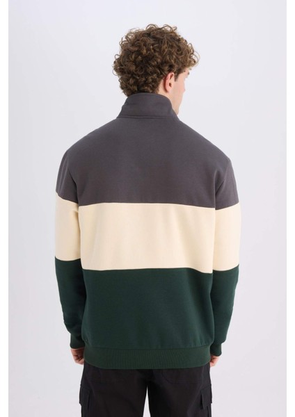 Relax Fit Dik Yaka Fermuarlı Baskılı Kalın Sweatshirt D2562AX24AU