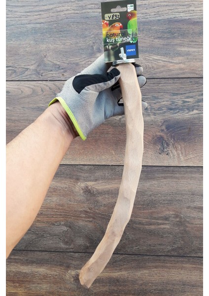 Venty (Gürgen) Şekillendirilmiş Papağan Tüneği 40.5 cm | Jako, Amazon, Eklektus, Alex, Sultan - V892 | Ayak Kaslarını Destekleyici fiyatları
