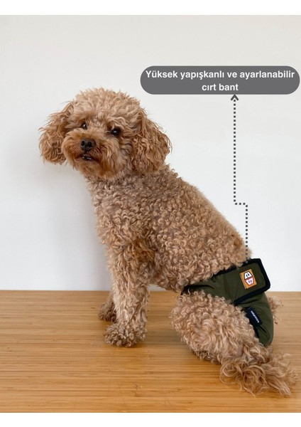 Haki Dişi Köpek Külotları - 3'lü Avantajlı Paket | Su Geçirmez ve Yıkanabilir Dişi Köpek Külotu | Dönemi ve Için Mükemmel
