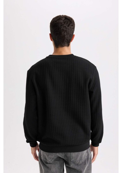 Regular Fit Bisiklet Yaka Jakarlı Basic Düz Sweatshirt D5391AX24AU