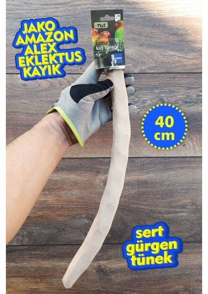 Venty (Gürgen) Şekillendirilmiş Papağan Tüneği 40 cm | Jako, Amazon, Eklektus, Alex, Sultan - T215 | Ayak Kaslarını Destekleyici
