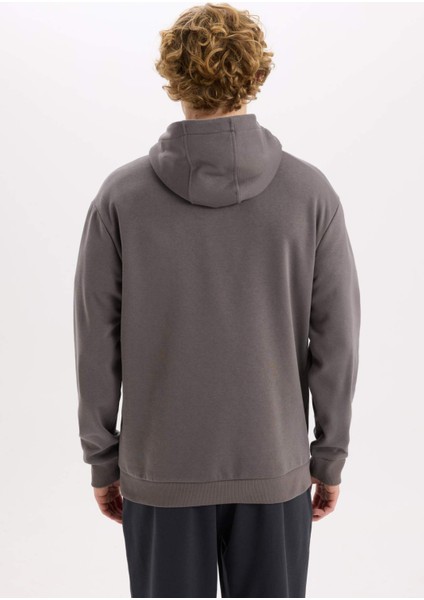 Relax Fit Kapüşonlu Baskılı Kalın Sweatshirt D2681AX24AU