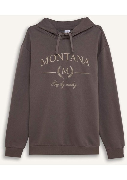 Relax Fit Kapüşonlu Baskılı Kalın Sweatshirt D2681AX24AU