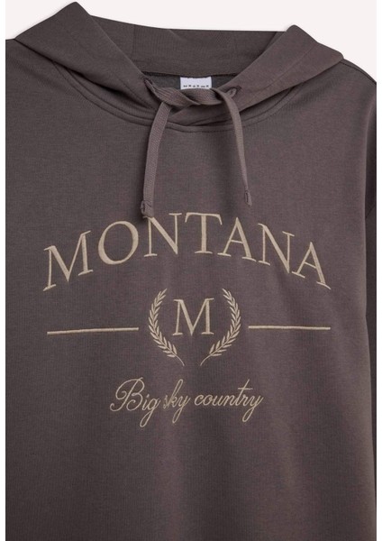 Relax Fit Kapüşonlu Baskılı Kalın Sweatshirt D2681AX24AU