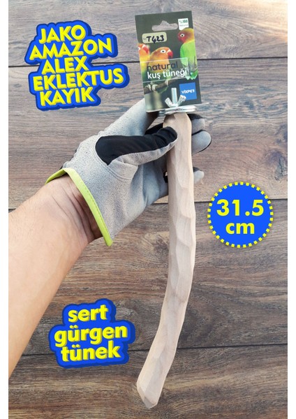 Venty (Gürgen) Şekillendirilmiş Papağan Tüneği 31.5 cm | Jako, Amazon, Eklektus, Alex, Sultan - T423 | Ayak Kaslarını Destekleyici