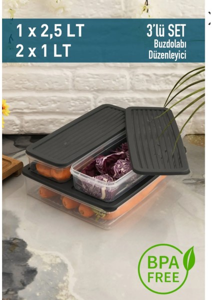 Antrasit 4'lü Kapaklı Saklama Kabı, Buzdolabı Organizer Mikrodalga ve Difrize Uygun 4lt