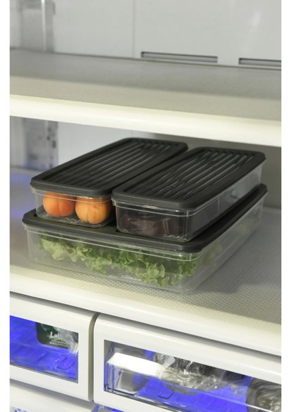 Antrasit 4'lü Kapaklı Saklama Kabı, Buzdolabı Organizer Mikrodalga ve Difrize Uygun 4lt fırsatları