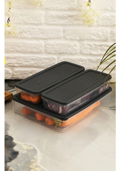 Antrasit 4'lü Kapaklı Saklama Kabı, Buzdolabı Organizer Mikrodalga ve Difrize Uygun 4lt indirimleri