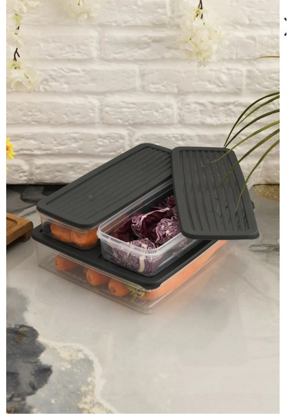 Antrasit 4'lü Kapaklı Saklama Kabı, Buzdolabı Organizer Mikrodalga ve Difrize Uygun 4lt