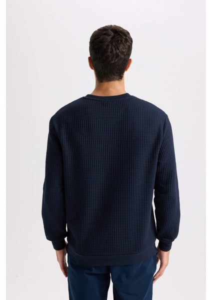 Regular Fit Bisiklet Yaka Jakarlı Sweatshirt D5392AX24AU