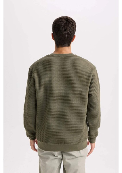 Regular Fit Bisiklet Yaka Jakarlı Sweatshirt D5392AX24AU