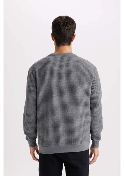 Gri Regular Fit Bisiklet Yaka Jakarlı Sweatshirt D5392AX24AU