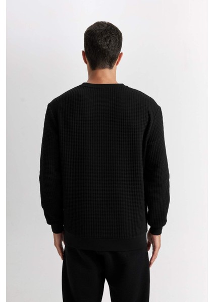 Siyah Regular Fit Bisiklet Yaka Jakarlı Sweatshirt D5392AX24AU