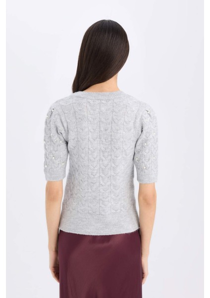 Regular Fit Bisiklet Yaka Basic Düz Yarım Kollu Triko Kazak D6205AX24WN