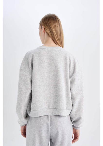 Regular Fit Bisiklet Yaka Kalın Basic Düz Sweatshirt D6645AX24WN