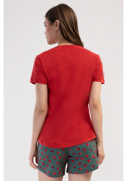 Pamuklu Kadın Kısa Kol Şortlu Pijama Takım , 408204 fırsatları