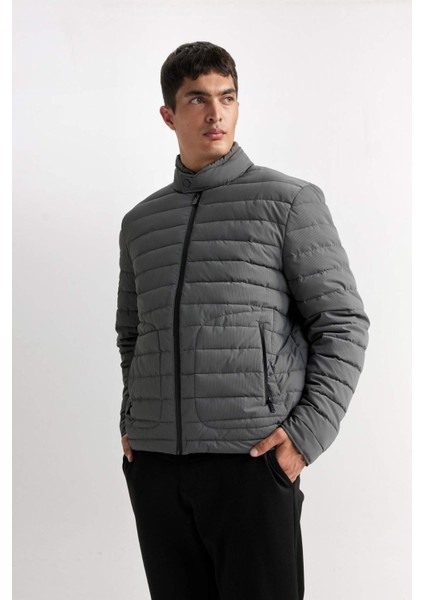 Slim Fit Dar Kesim Dik Yaka Fermuarlı Mont D7497AX25SP