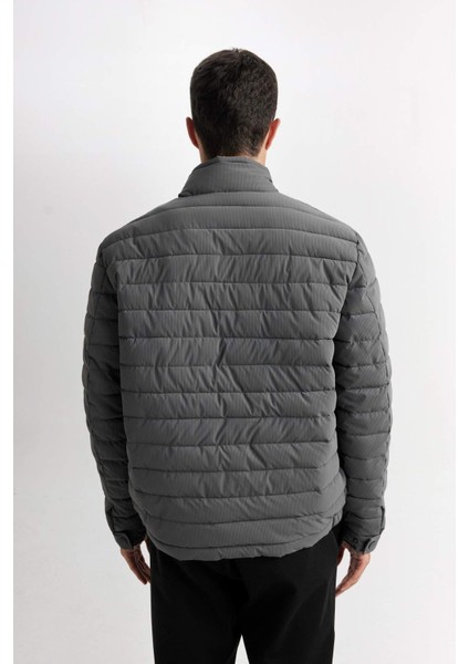Slim Fit Dar Kesim Dik Yaka Fermuarlı Mont D7497AX25SP