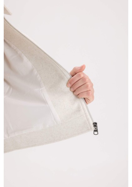 Regular Fit Polo Yaka Cepli Fermuarlı Kısa Kaşe Kaban D5767AX25SP