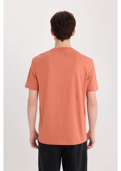 %100 Pamuk Regular Fit Bisiklet Yaka Baskılı Kısa Kollu Tişört D5563AX25SP