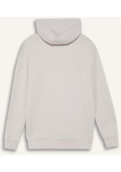 DeFacto Fit Standart Fit Kapüşonlu Skuba Dalgıç Kumaş Sporcu Sweatshirt D7364AX25SP