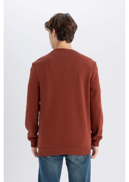 3 İplik Pamuklu Şardonlu İçi Polarlı Regular Fit Bisiklet Yaka Kalın Sweatshirt D7876AXNS
