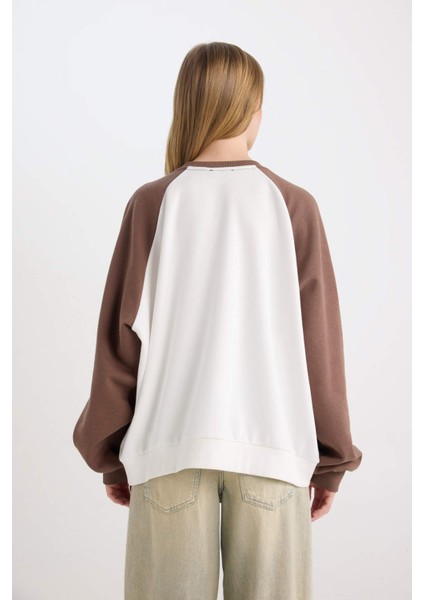 Coool Loose Fit Bisiklet Yaka Baskılı Renk Bloklu Sweatshirt D6669AX24WN