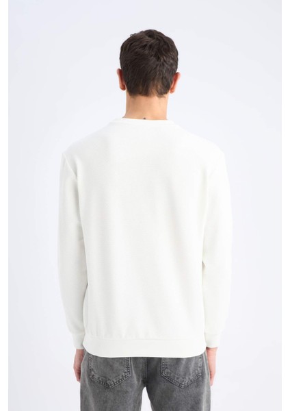 Regular Fit Bisiklet Yaka Dokulu Jakarlı Sweatshirt