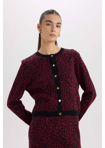 Regular Fit Bisiklet Yaka Leopar Desenli Düğmeli Triko Hırka D8510AX24WN indirimleri