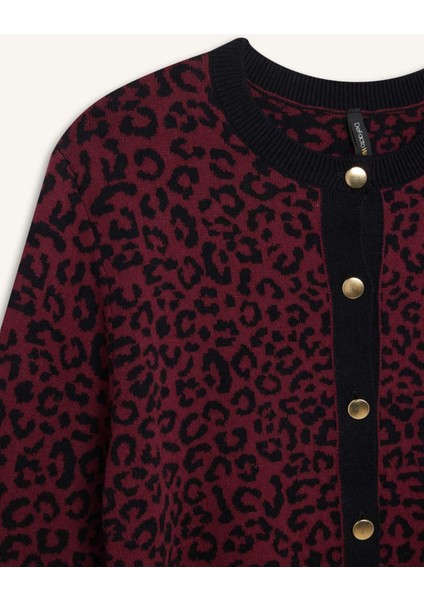 Regular Fit Bisiklet Yaka Leopar Desenli Düğmeli Triko Hırka D8510AX24WN