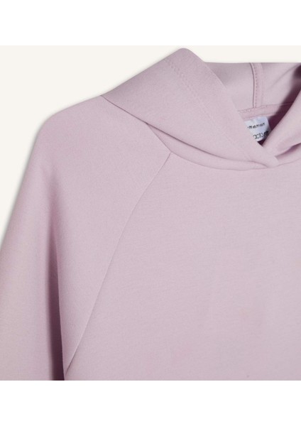 Fit Standart Fit Kapüşonlu Sporcu Sweatshirt D2589AX24AU