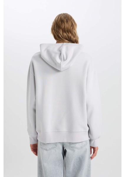 Relax Fit Kapüşonlu Kalın Basic Düz Sweatshirt D9935AX24WN