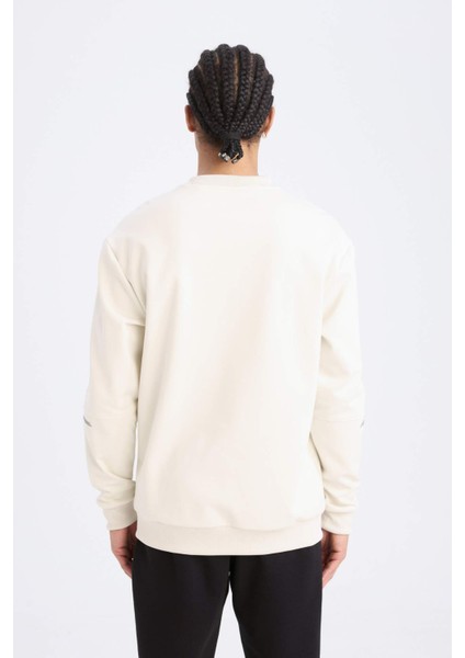 DeFacto Fit Standart Fit Bisiklet Yaka Basic Düz Sporcu Sweatshirt E0073AX24WN