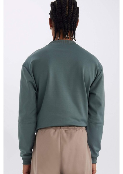 DeFacto Fit Standart Fit Bisiklet Yaka Basic Düz Sporcu Sweatshirt E0073AX24WN