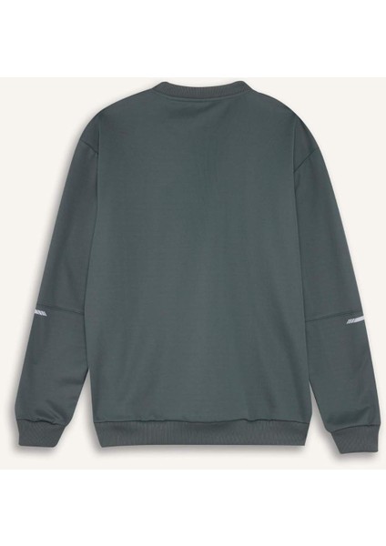 DeFacto Fit Standart Fit Bisiklet Yaka Basic Düz Sporcu Sweatshirt E0073AX24WN
