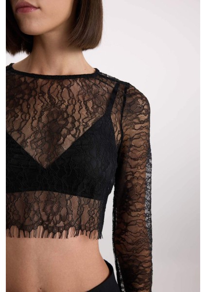 Crop Bisiklet Yaka Dantel Uzun Kollu Bluz E0210AX24AU